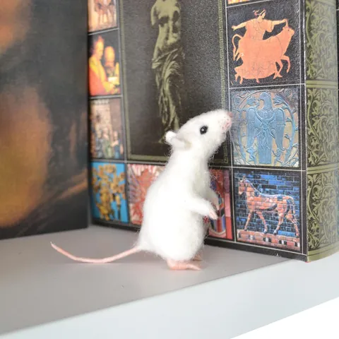 I made this cute white rat out of wool