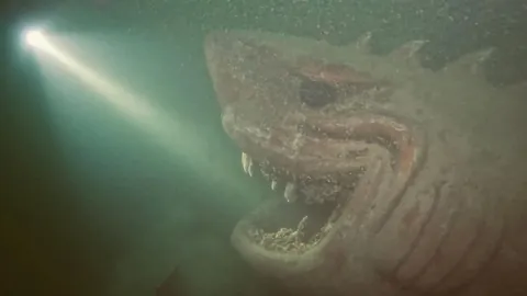 There’s a horrifying shark statue at the bottom of Lake Neuchâtel in Switzerland.
