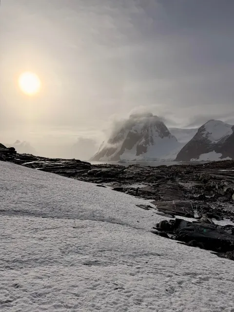 10 days in Antarctica: Wildlife, the Drake Passage and what the expedition was like [OC]