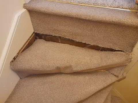 My stairs broke. Again.