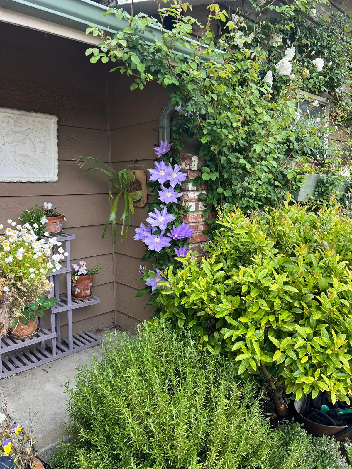 If you love your garden, she’ll love you back.