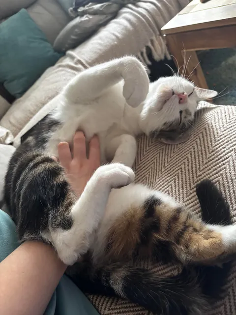 My beautiful baby died today