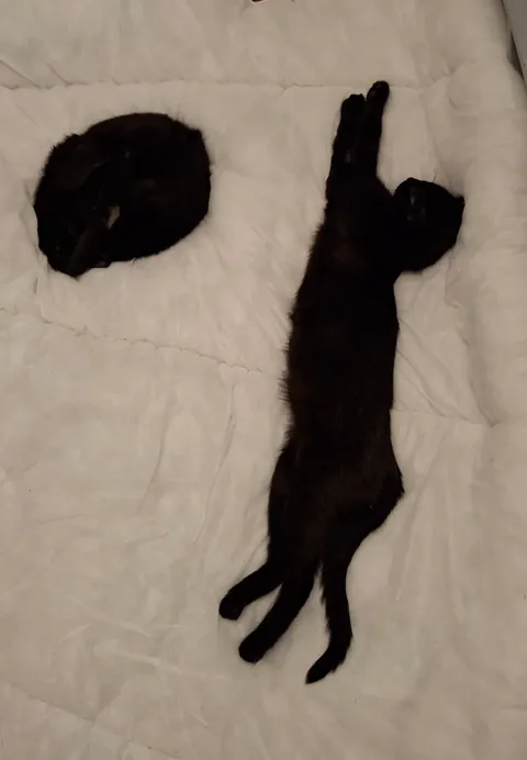 The humble fullstop and exclamation mark (6 months old)