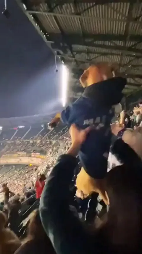 Fans bring their dogs to "Bark at the Park" night at the Seattle Mariners game. Stadium has the "Simba Cam" where people hold up their dogs 'Lion King style' for a chance to be featured on the jumbotron.