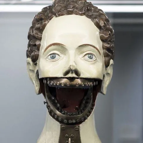 Dental training mannequin