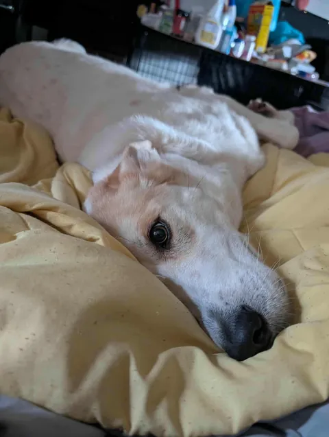 She is my everything