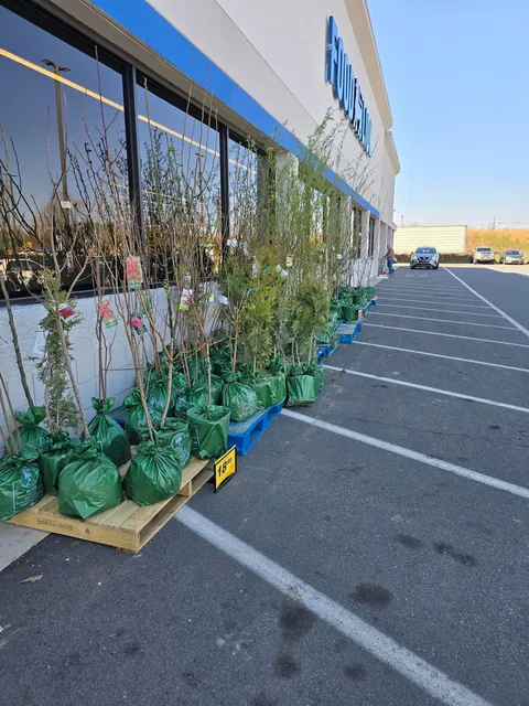 I got the deal of the year!!! 20 bucks