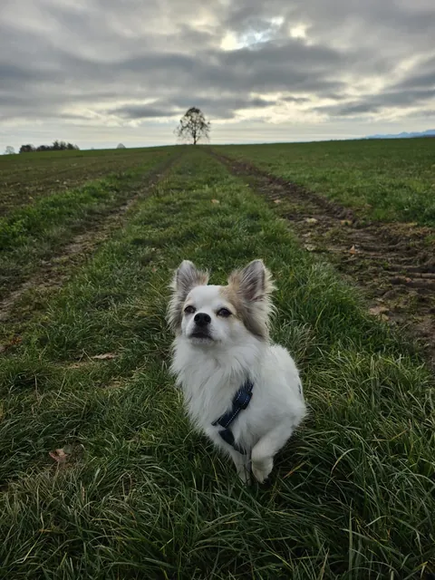 Wish you a nice start into November