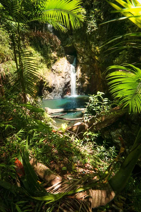 A hidden waterfall, Queensland, Australia, OC, 1365x2048