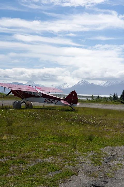 Bears and views in Alaska, June 2025