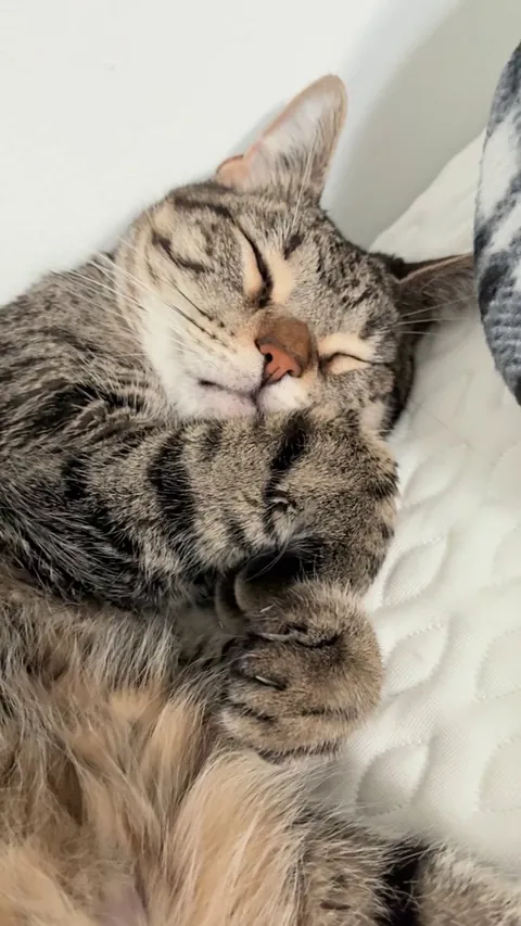 I wonder what Mo is dreaming about…