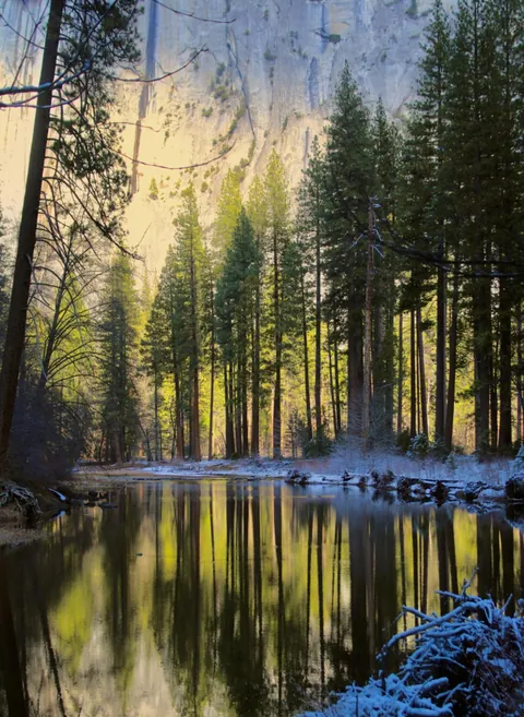 ITAP of trees reflecting in the river