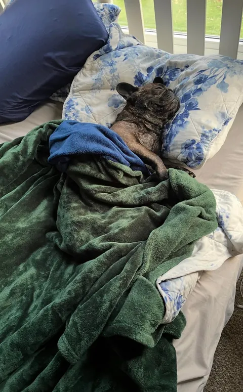 Im Glad She Lets Us Sleep On Her Bed😂