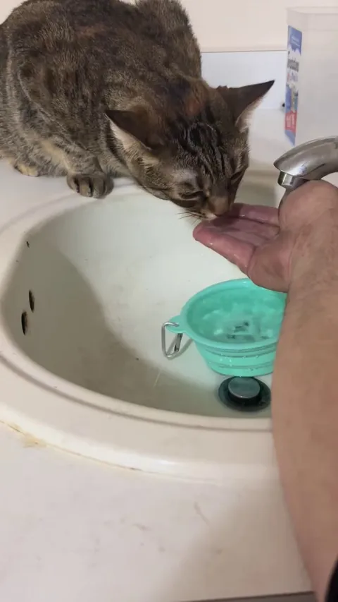 Why do I have to do this all the time?