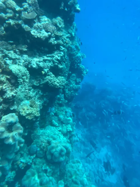 2 wonderful months in Australia