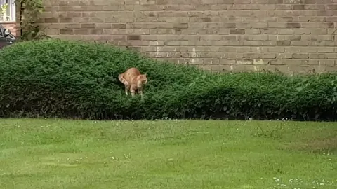 I wonder what he's up to...