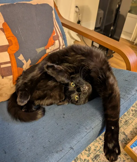 My little contortionist