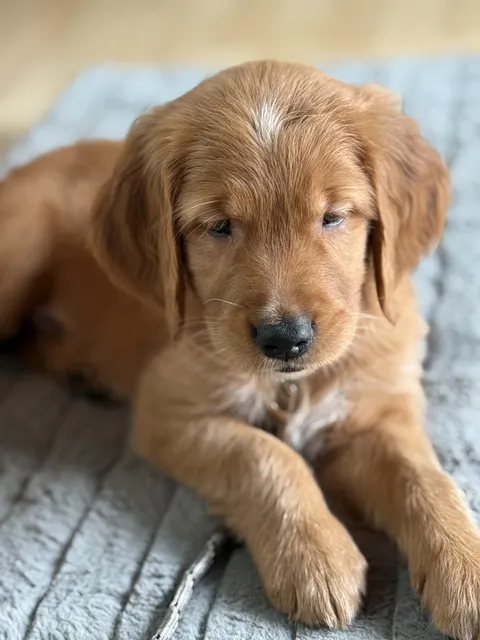 Guess who just slept through the whole night for the first time?