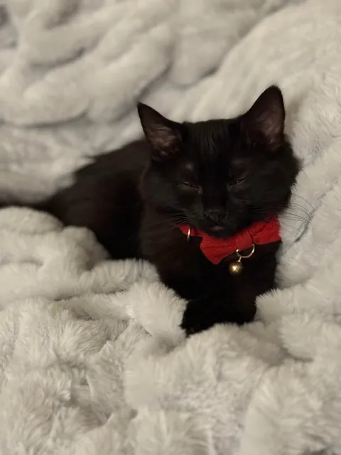 What would you name her?