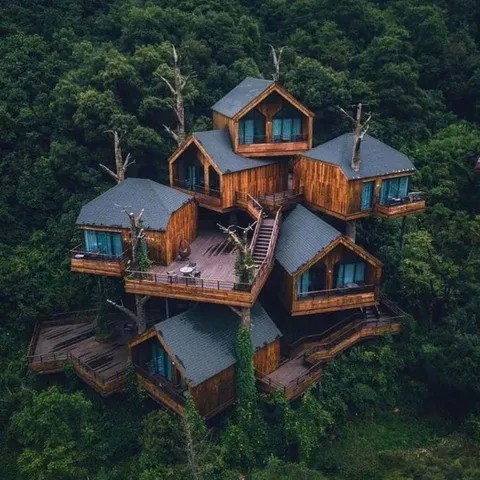 This multi-level treehouse.