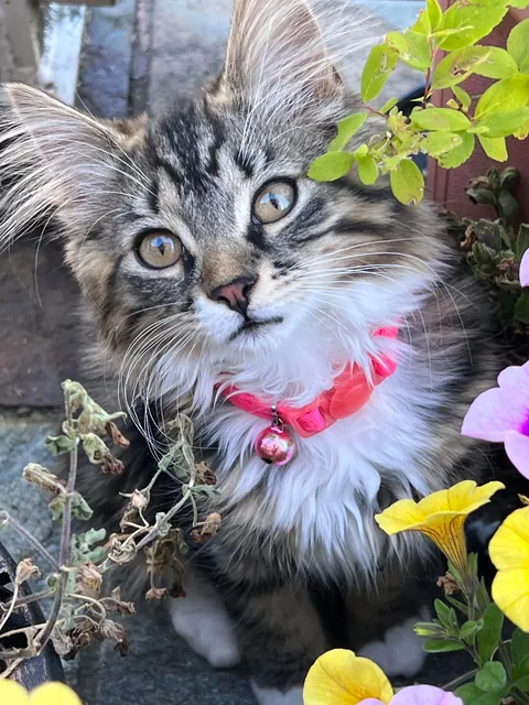 i love her so much, she’s the loml