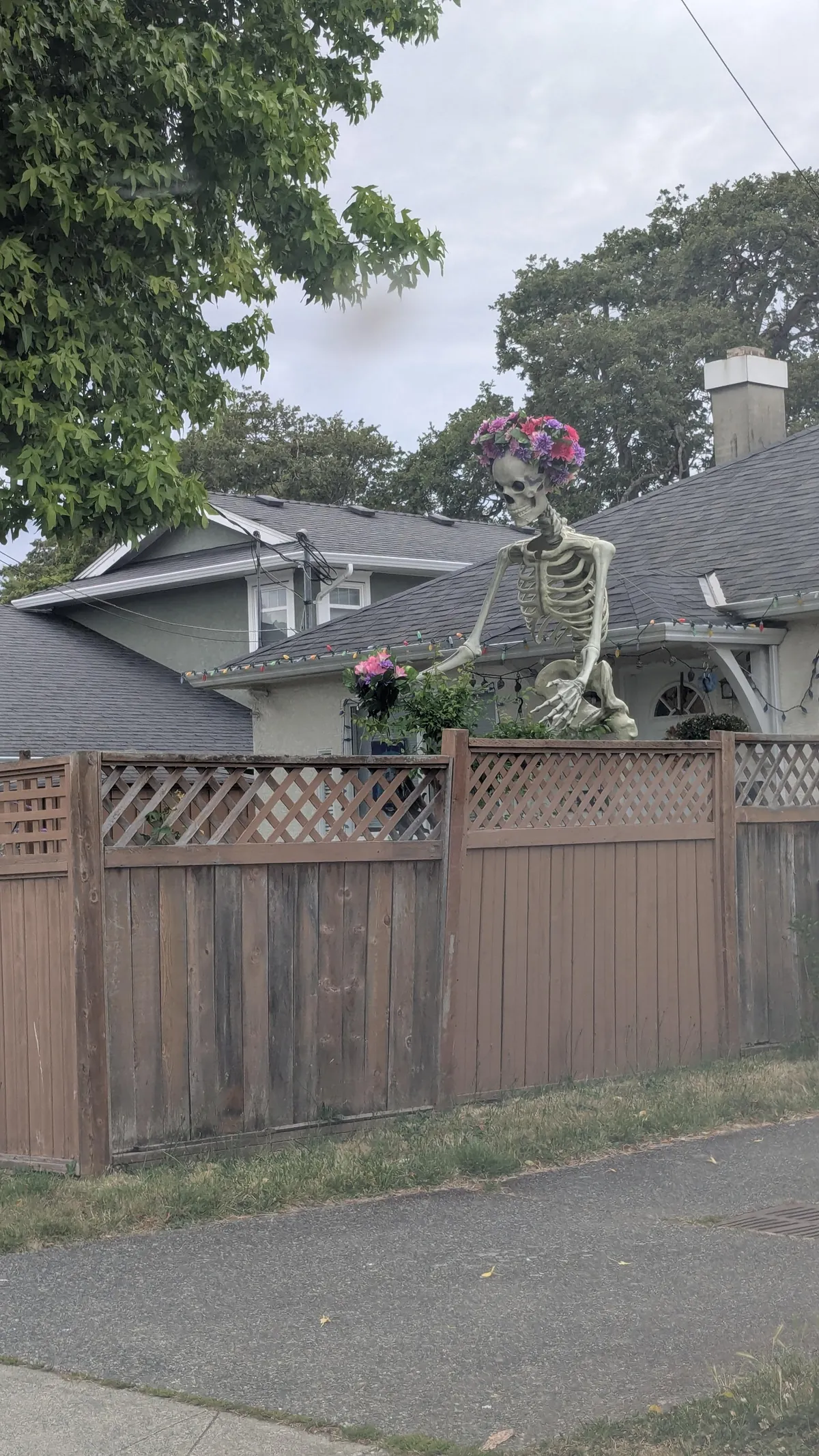 A 10 ft yard skeleton...
