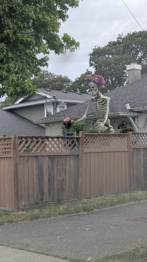 A 10 ft yard skeleton...
