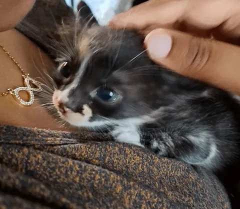 He's just a babyyy 🥺