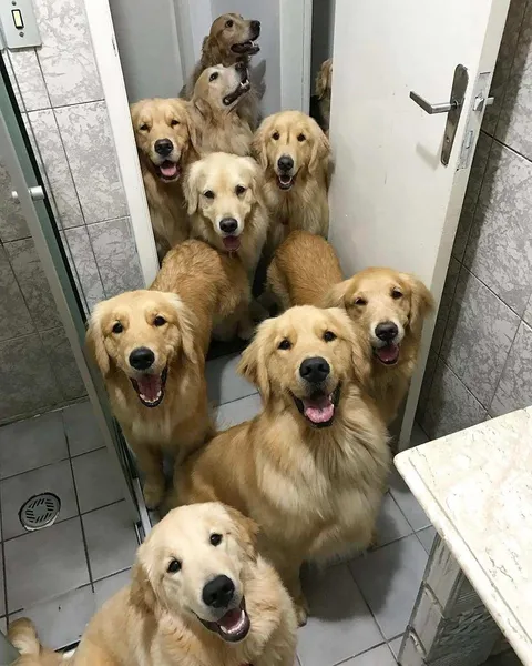 Hi. We heard you needed some help in here.