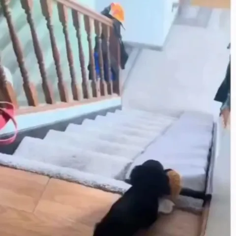 He sent the crash test dummy down first better safe than sorry, right? 🤣