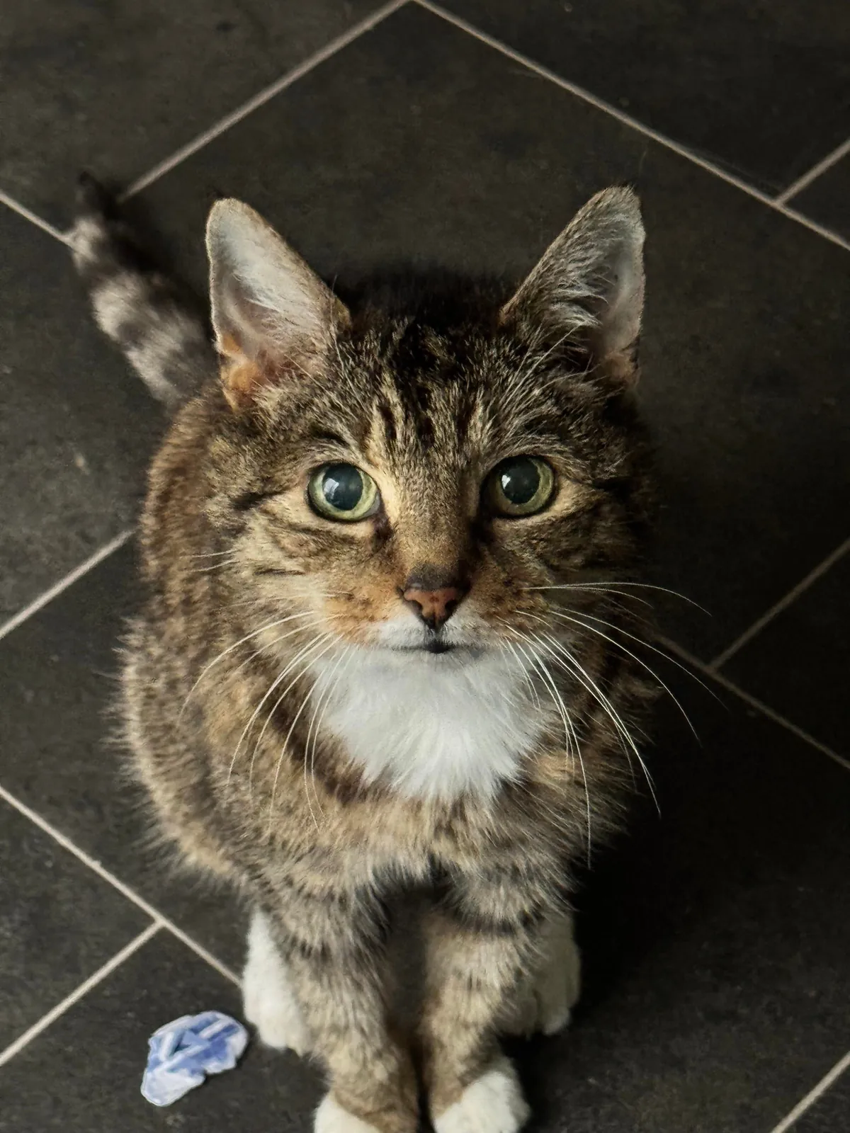 Had to send my 23 year old girl to sleep:(