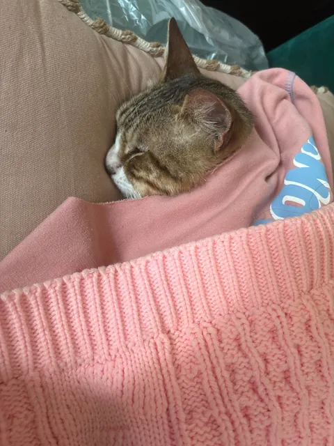 Tribute to my sweet boy. I just want people to know he existed