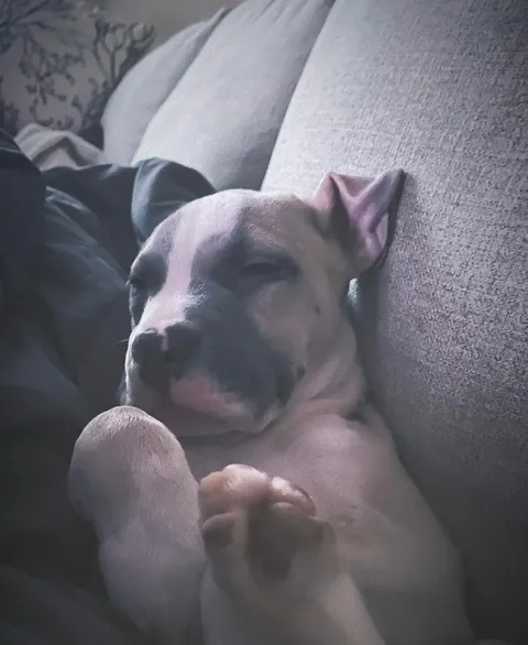 Please rate my pretty girl 1-10