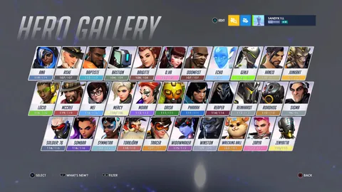 I’ve completed Overwatch