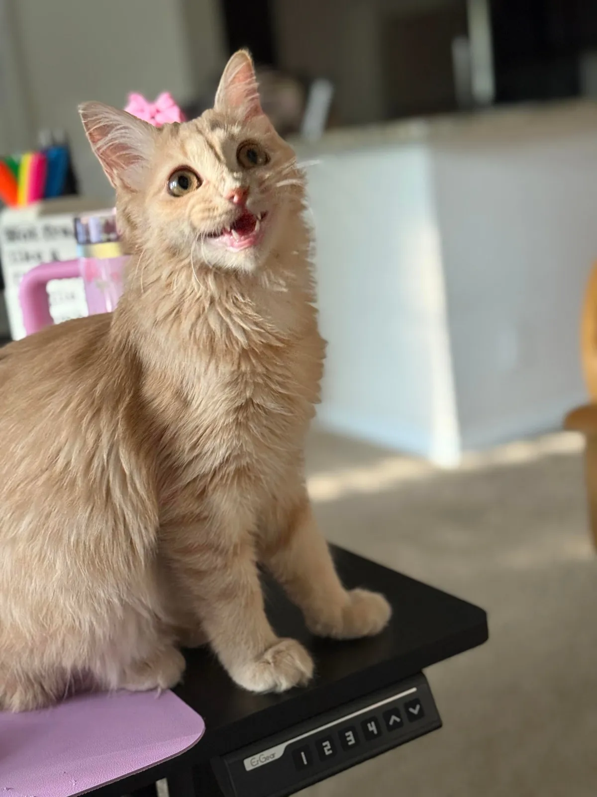 My sweet little lady