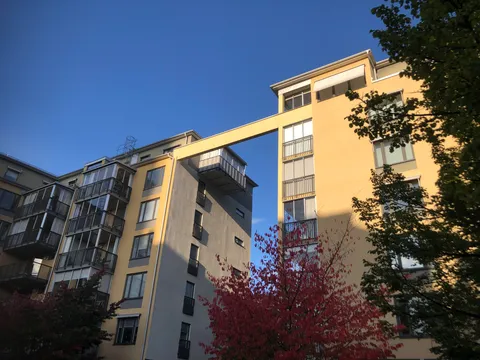 Trying to figure out the function of this structure?