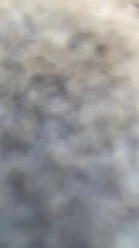 "There is a Tiger inside of you" The Tiger inside of me