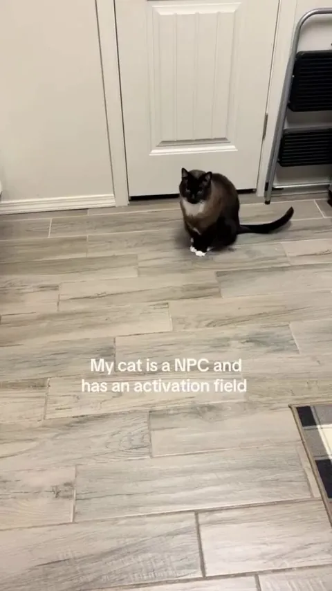 Press "X" to dispense treats