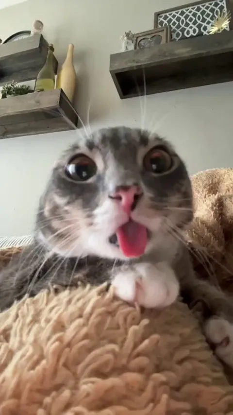 Contacting mothership 😅