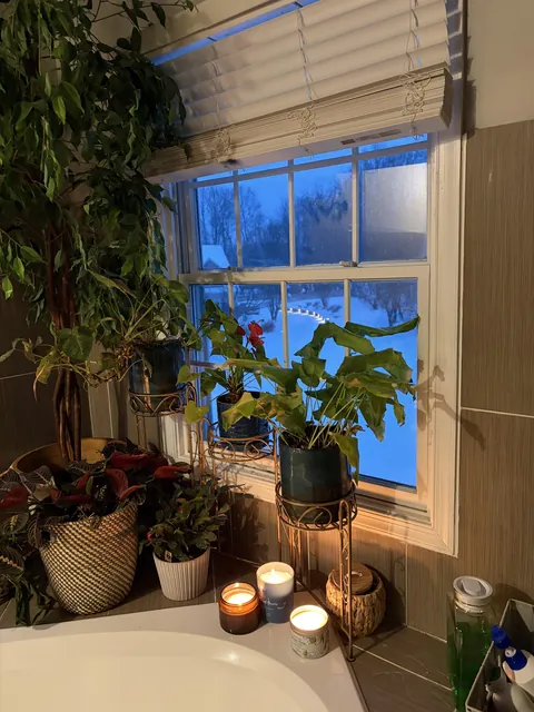 Book and a bath on a snowy night - looking out on the frozen pond