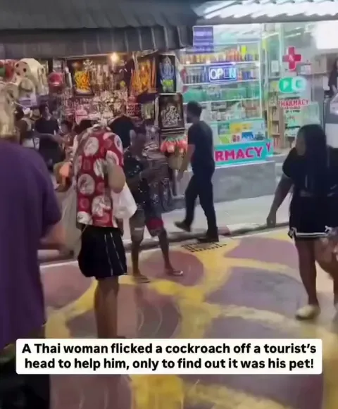This woman tried to help a tourist by flicking a cockroach off his head, but the man got furious because the roach was actually his pet, the cockroach then crawled back to him, leaving onlookers stunned.