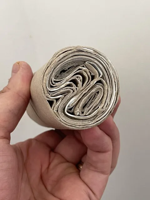 Look at all the Toilet Rolls I got in to one Toilet Roll