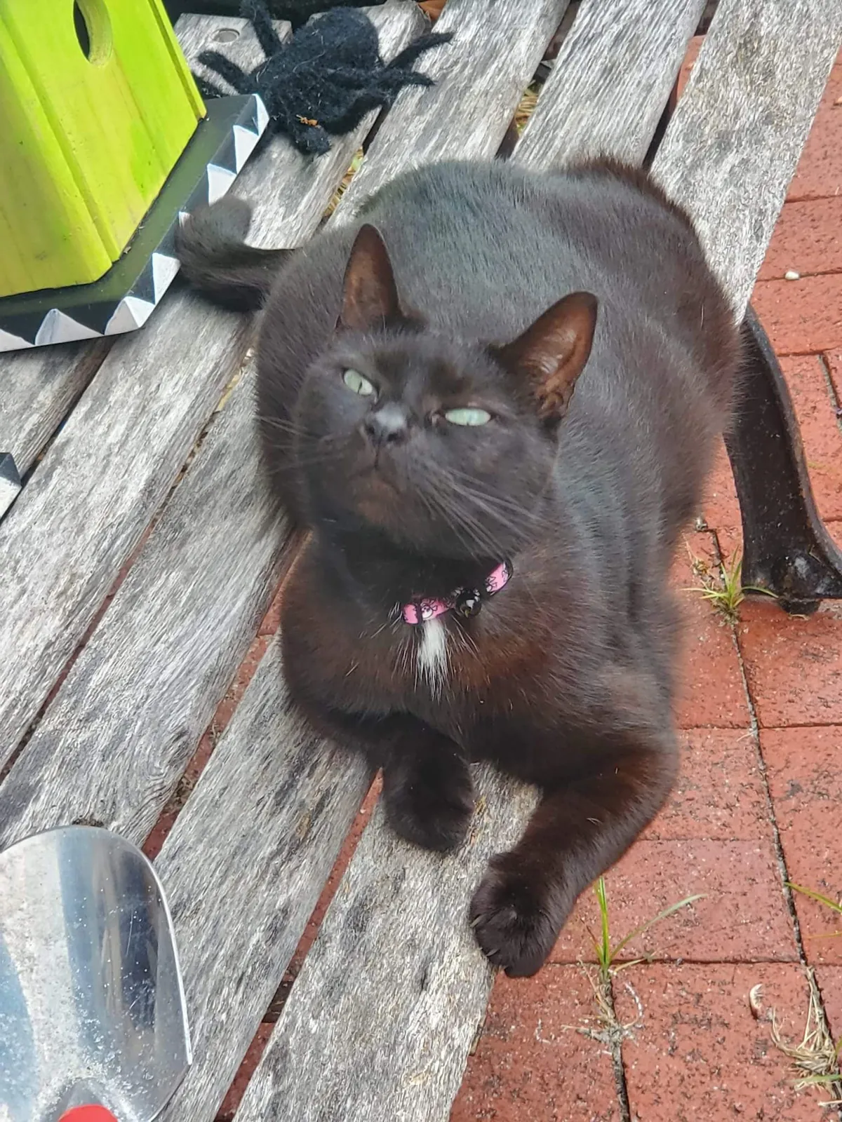 everyone says that she looks weird :(