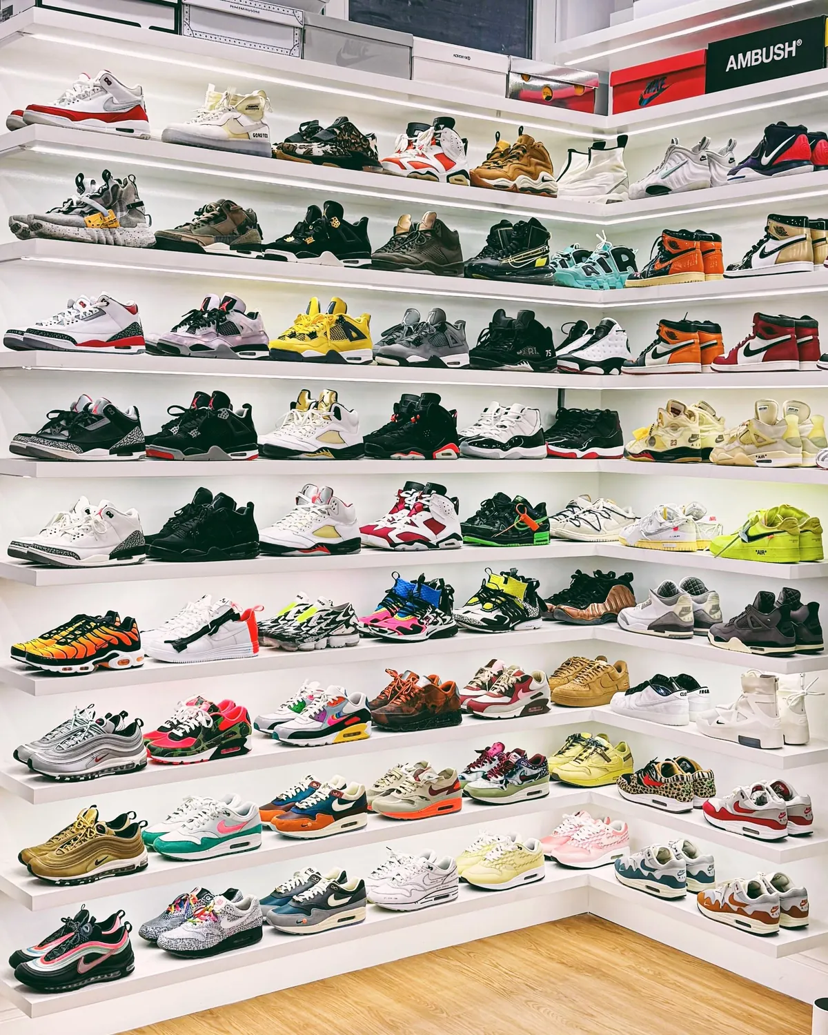 Updating the Collection