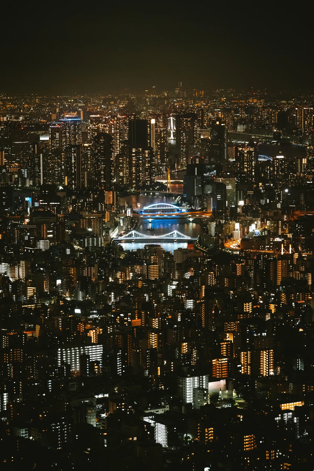 An incredible two weeks in Japan!