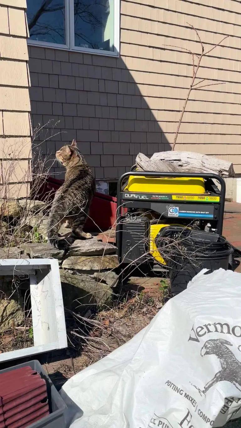 First time outside in his life. 1.8 years.