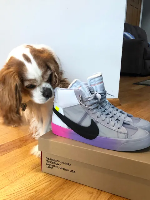 I’m sure some of you remember this picture. This little guy passed away this last Sunday and it hurts that he’s not here anymore. I’ll love him forever♥️