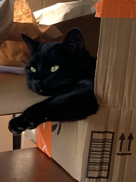 She’s just so cute 🖤