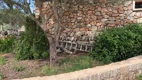 Wild kitten family i spotted on my visit to Spain