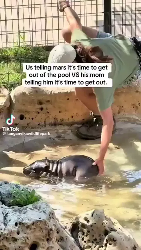 The “mom stare” is universal in every species 😆